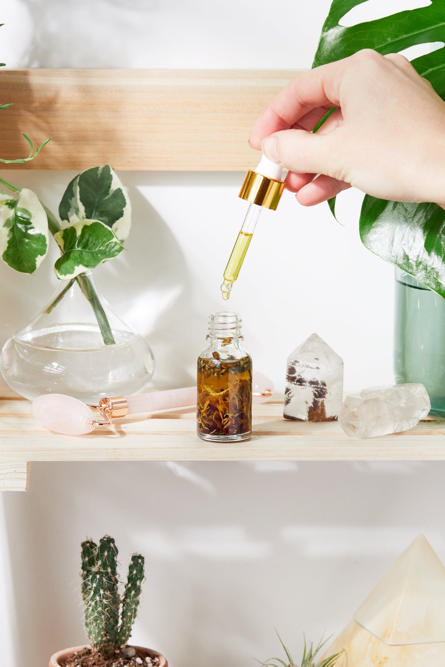 Biologisch Anti-Aging Serum | 100% Natuurlijk & Vegan